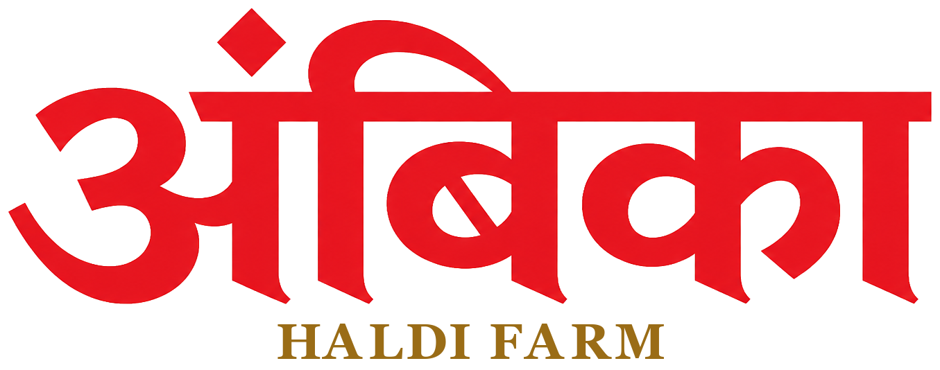 Ambica Haldi Farm