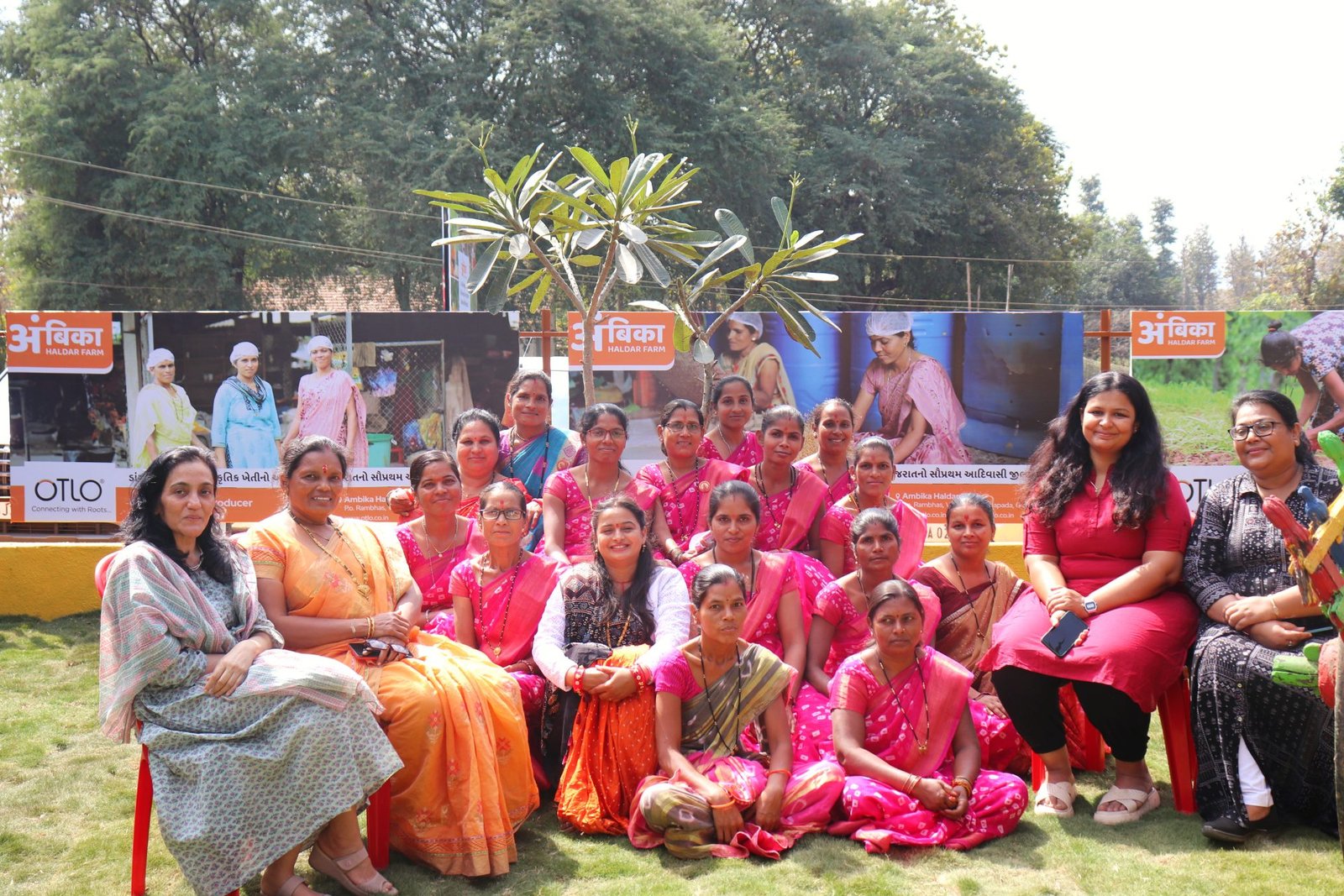 Our farm team